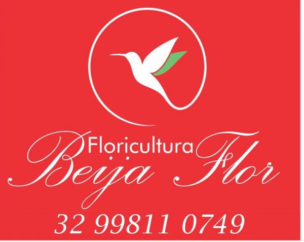 Floricultura Beija Flor