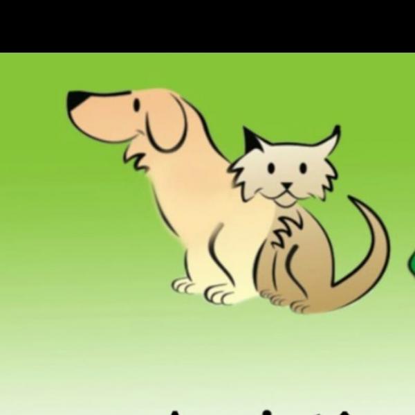 Saúde Animal