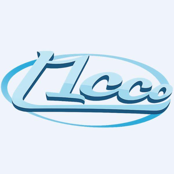L1000 Calçados
