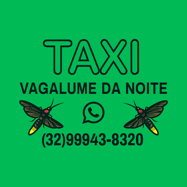 Roberto Vagalume da Noite