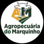 Agropecuária do Marquinho